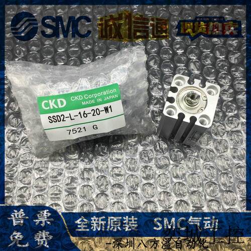 全新原装正品日本气缸SSD2-L-25-20-W1