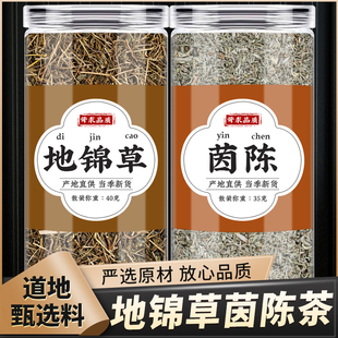 地锦草茵陈中药材正品新鲜千根草小红筋草红丝草泡煮水的功效作用