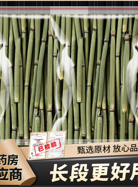 木贼草长擦牙中药材木贼千峰草锉草笔头草节节草笔筒草节骨长段