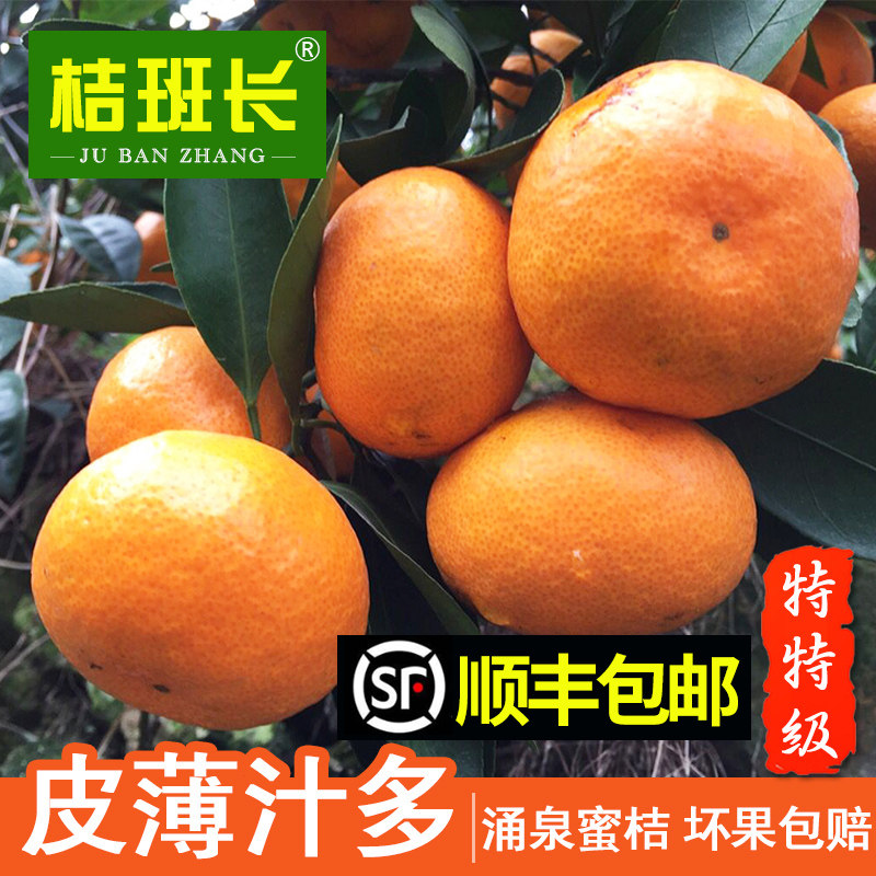 正宗涌泉蜜桔新鲜无核早熟桔子无核无渣山地老树爆甜橘子顺丰包邮