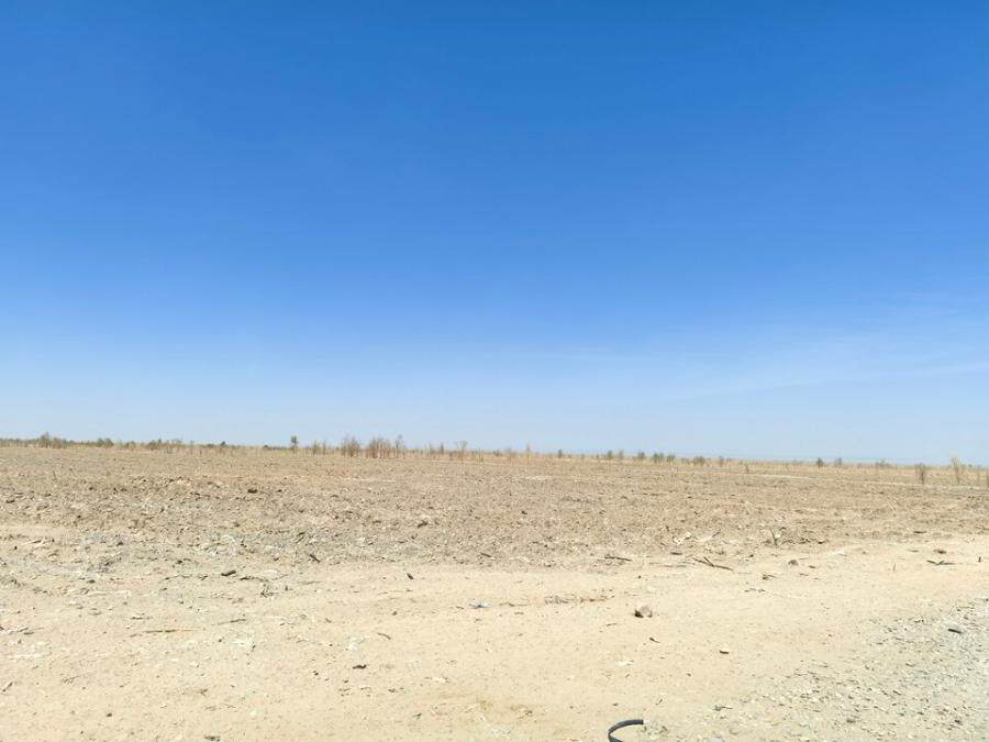 6月27日和田地区5宗人工牧草地7网络拍卖公告