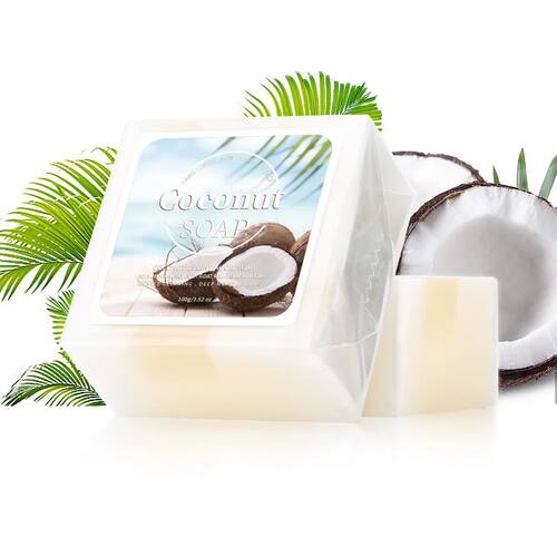 100g B+ Coconut Milk Organic Pure Plant Extract Handmade Soa