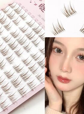 Sunflower Lashes Brown Manga False Eyelashes Natural Soft  L