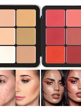 12-color iron box concealer blush cream matte highlight cont