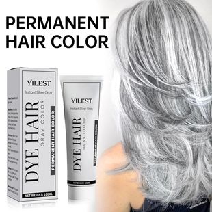Smoky Grey Styling DIY Style Cream Dye Hair Sliver 100ML