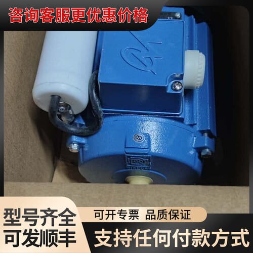 议价 闽东 YC02-4 单相异步电动机 370W 可维修