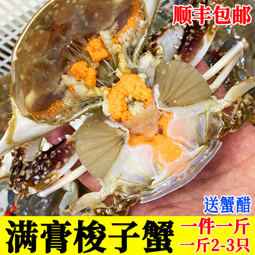 保鲜不保活连云港满膏母蟹2-3只