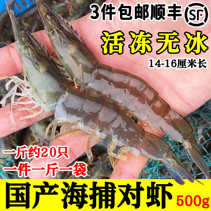 新鲜对虾鲜活海虾野生大虾一斤