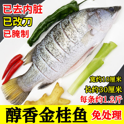 金桂鱼金目鲈鱼免处理已改刀已腌