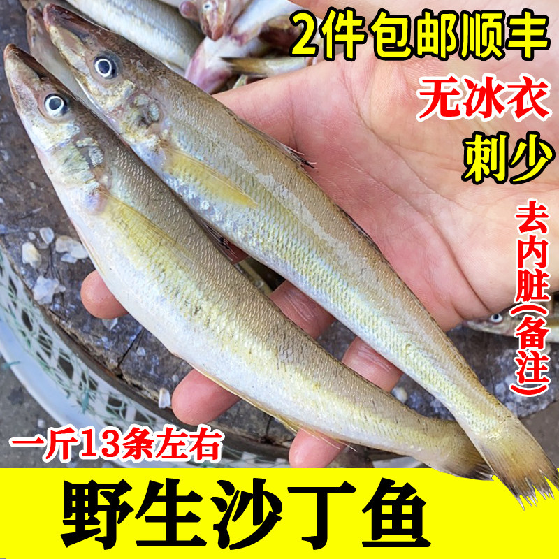 海捕沙丁鱼新鲜海鱼速冻沙尖鱼鲜鱼刺少无冰衣辅食顺丰一斤约13条