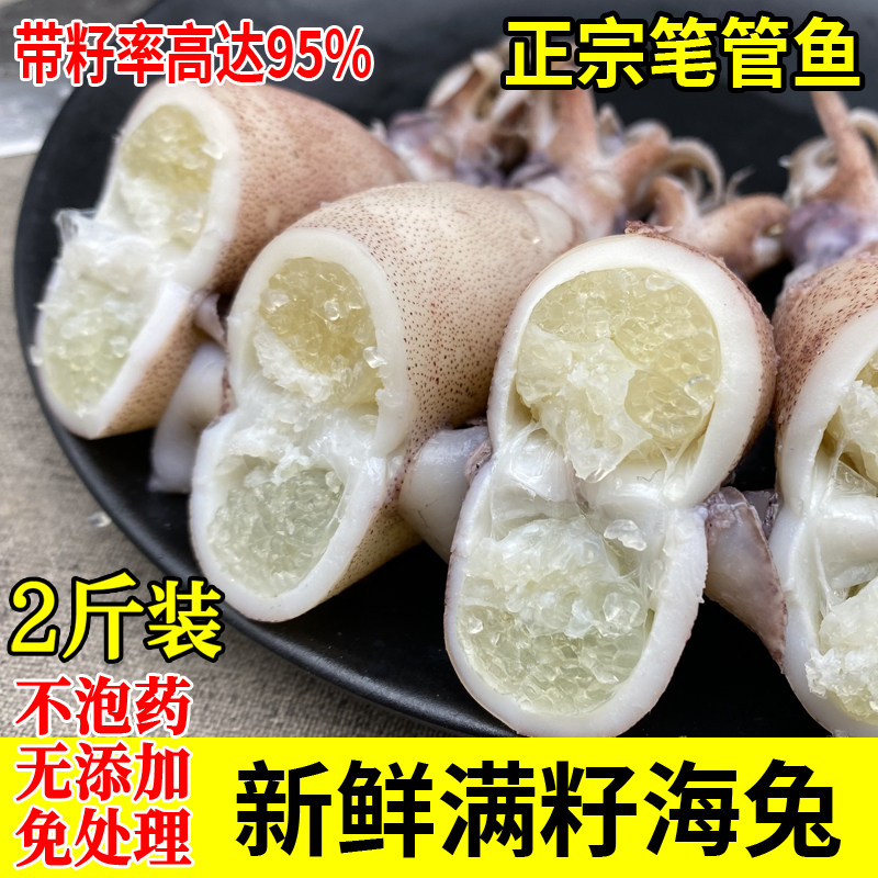 2斤2袋满籽籽乌生冻海捕笔管鱼海兔子海鲜小乌贼全籽无冰衣包顺丰