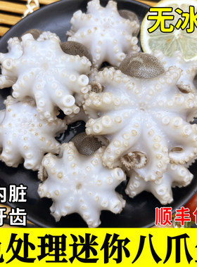 免处理迷你八爪鱼盐揉小章鱼无冰