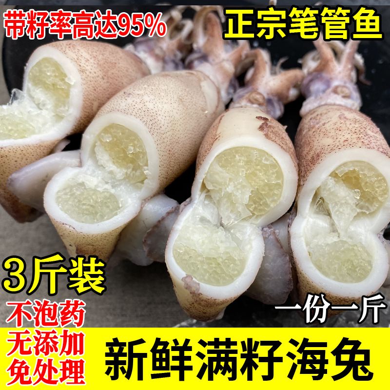 全母海兔满籽籽乌天然籽乌3斤