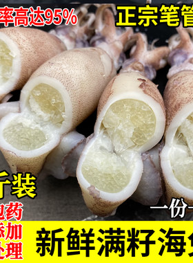 全母海兔满籽籽乌天然籽乌3斤