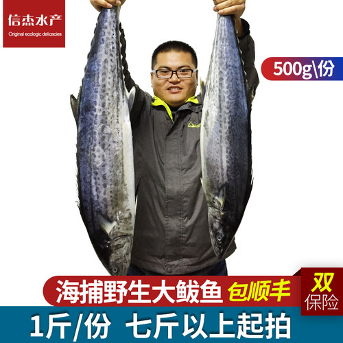 青岛野生马鲛鱼新鲜大鲅鱼包邮鲜活海鲜冷冻水产深海海鱼大马胶鱼 - 封面
