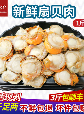 青岛信杰海鲜新鲜扇贝肉包邮冷冻水产海扇贝肉鲜活贝类现剥元贝肉