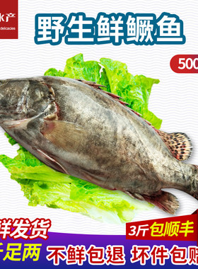 鲜活野生臭鳜鱼顺丰包邮