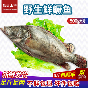 新鲜鳜鱼鲜桂花鱼顺丰包邮海鲜冷冻水产鲜活花鲫鱼野生鱼类臭鳜鱼