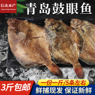 青岛野生高眼鱼新鲜小眼鱼包邮鲜活比目鱼海鲜水产海鱼鲽鱼偏口鱼