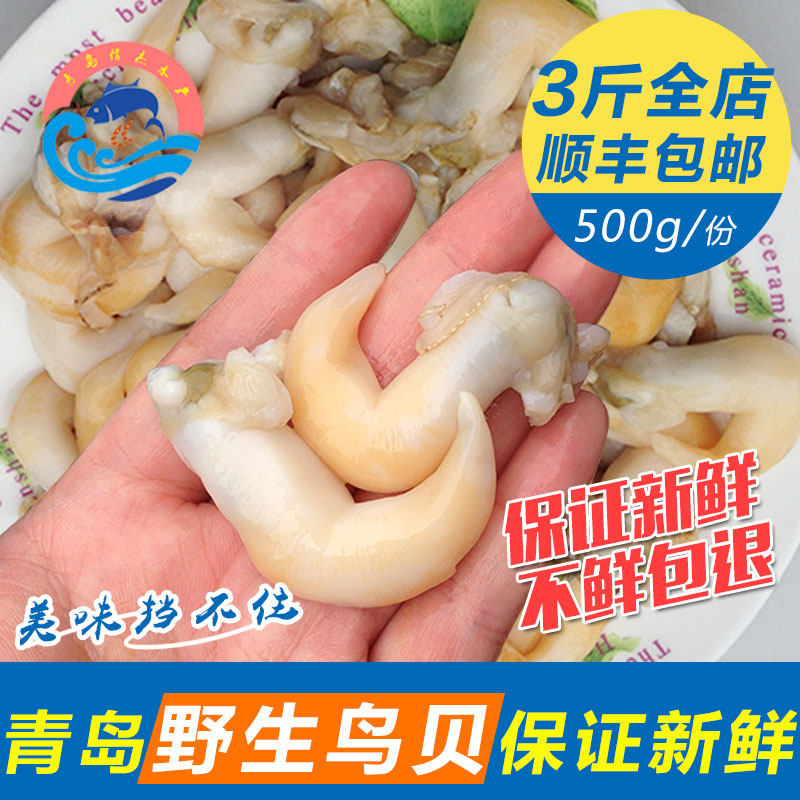 青岛信杰水产新鲜鸟贝肉鲜活鸟蛤肉包邮即食刺身贝类海鲜金钩鸟贝