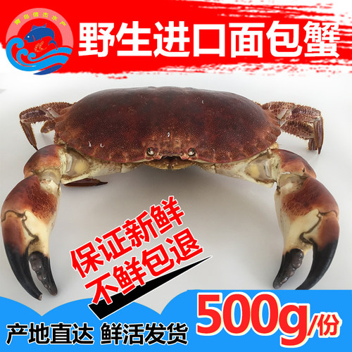 爱尔兰野生元宝进口水产面包蟹