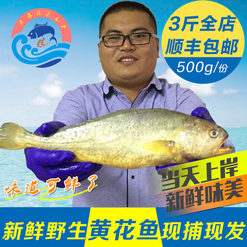 海捕黄花鱼，保证新鲜，不鲜包退。