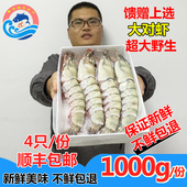 青岛海鲜野生大虾新鲜对虾 鲜活速冻冷冻水产特大海虾草虾虎虾 包邮