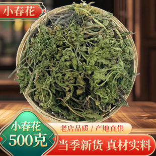 中药材小春花500克一朵云 破天云 阴地蕨 独立金鸡 散血叶 蛇不见