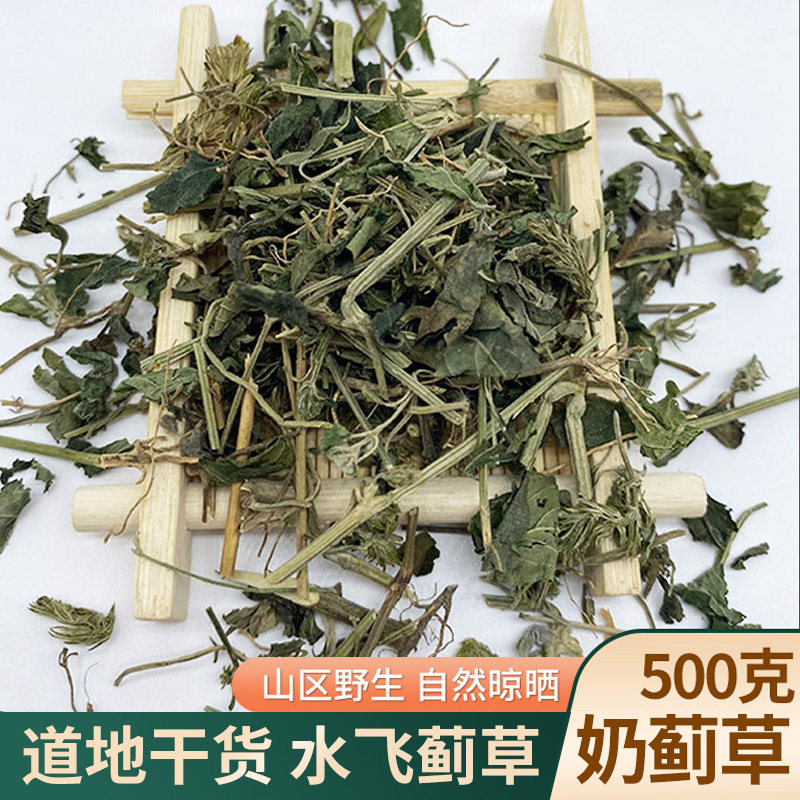 中药材奶蓟草500克 野水飞蓟新货乳飞蓟籽草 水飞蓟草 水飞雉