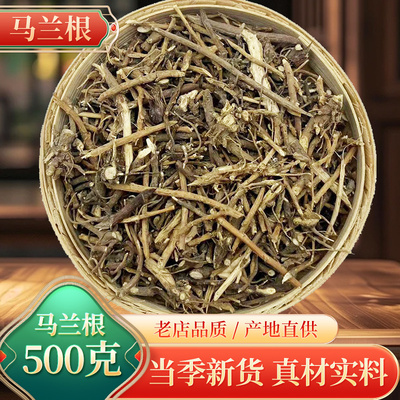 中药材马兰根野生新货500克