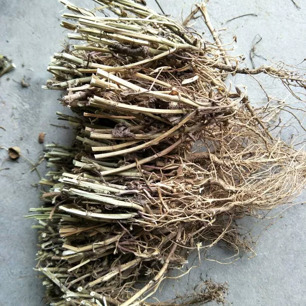 Товары от t_1514964680644_0856