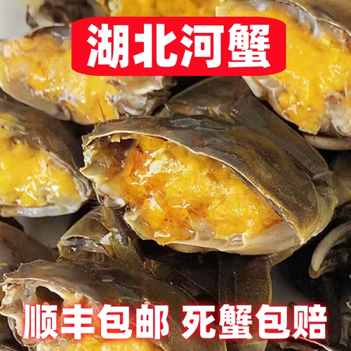 活蟹六月黄梁子湖区大闸蟹鲜活香辣蟹12/16只装14-1.6两公母随机