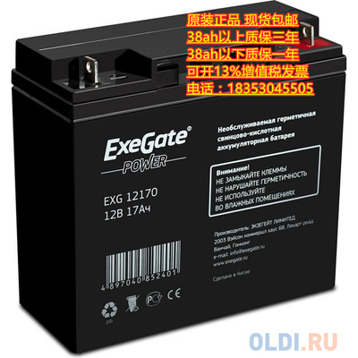 ExeGate 蓄电池 EXG 12170  (12V17AH)免维护 UPS 船用 电源 电瓶