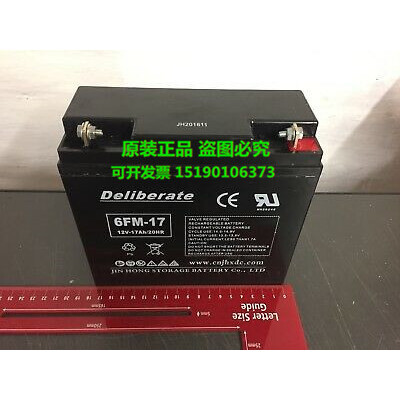 Deliberate蓄电池6FM-17/12V17AH适用 UPS 通讯 船舶 凝胶 深循环
