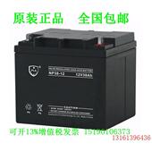 PLA蓄电池NP38 UPS不间断设备电源电瓶12V38AH 12进口免维护LED