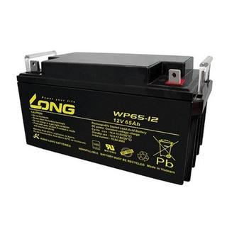 LONG广隆蓄电池WP65-12 12V65AH铅酸阀控免维护直流屏UPS房车通