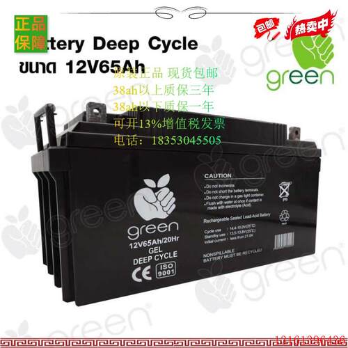 FGET 12V65AH 蓄电池 Future Green Technology未来绿色科技 电瓶