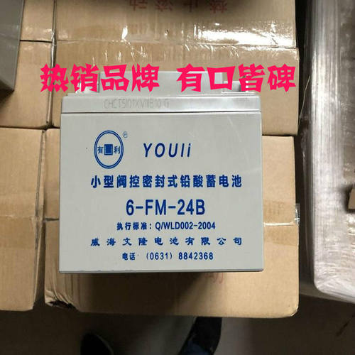 YOULEE有利蓄电池 6-GFM-24电力/通讯系统电源12V24AH免维护