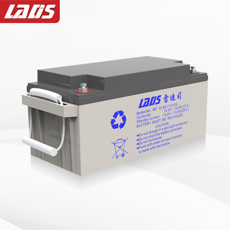 雷迪司（LADIS）65AH UPS电源 铅酸免维护蓄电池12V 65AH UPS不间