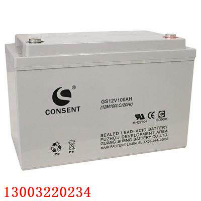 CONSENT光盛蓄电池GS12V100AH应急电源UPS EPS消防机房太阳能专用