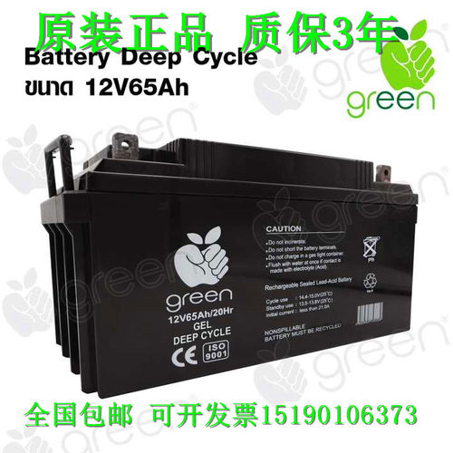 GEEEN蓄电池12V65AH GEL DEEP CYCLE 直流屏UPS电源电瓶电机设备