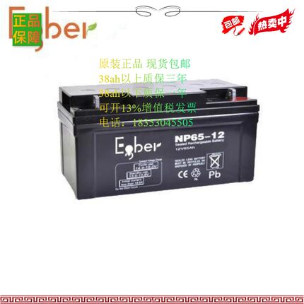 EODEI 铅酸免维护蓄电池 NP12V65AH 监控系统UPS 电源专用 电瓶