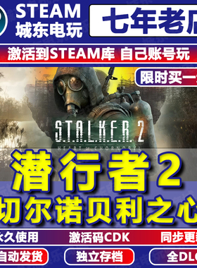 潜行者2切尔诺贝利之心Steam激活码CDKEY全DLC游戏永久入库包更新