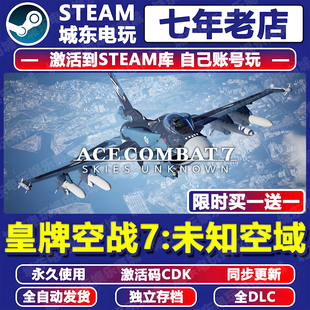 皇牌空战7未知空域 游戏Steam激活码CDKey全DLC永久入库全球国区