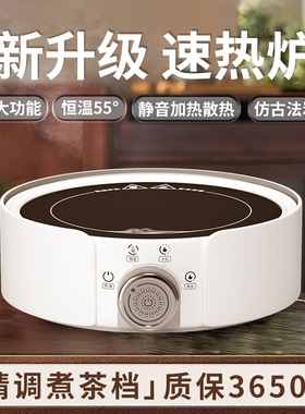 2025新款电陶炉煮茶器小茶炉迷你静音烧水加热玻璃壶摩卡壶电热炉