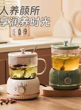 养生壶家用保温煮茶器烧水多功能