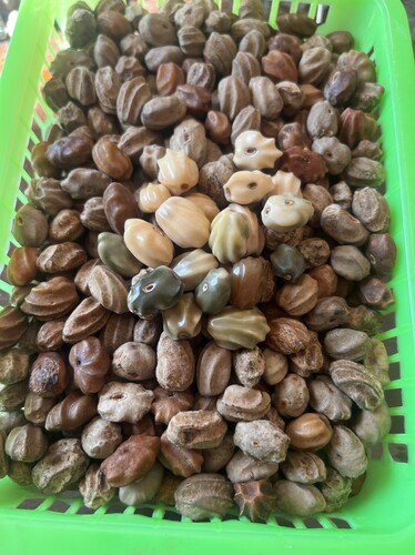 精选天然龙骨菩提原籽原生态diy小众手串菩提散念珠文玩龙脊原料