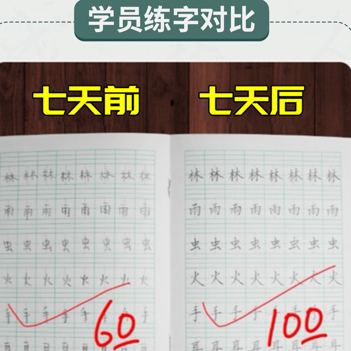 10成人行书楷书行楷硬笔书法教程钢笔字教学连笔字课程一对一网课