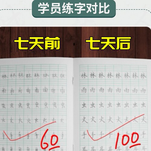 10成人行书楷书行楷硬笔书法教程钢笔字教学连笔字课程一对一网课