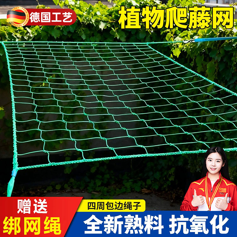 爬藤网植物攀爬网网格爬藤架种植网百香果丝瓜豆角黄金葛瓜果爬藤